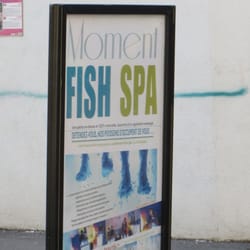 Moment Fish Spa