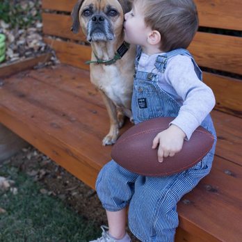 Marissa de la Photography - Pet Photography Near Me Marissa de la Photography - Pet Photography Near Me