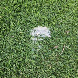Air Around the Clock Appliance