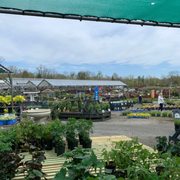 THE FARM AT GREEN VILLAGE - 93 Photos & 41 Reviews - 403 Green Village ...