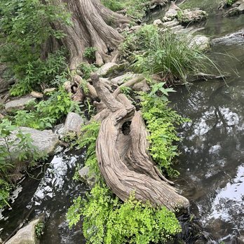 Krause Springs - Campgrounds Near Me - Spicewood, Texas Krause Springs - Campgrounds Near Me - Spicewood, Texas