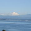 Camano Country Club gift card