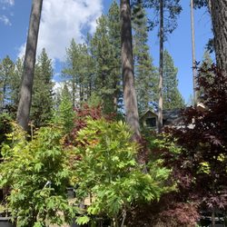 Perennial Nursery & Landscape - Cutest lil nursery