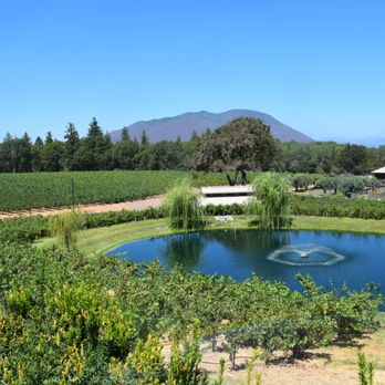 Boatique Winery - Wine Tours Near Me - Kelseyville, California Boatique Winery - Wine Tours Near Me - Kelseyville, California