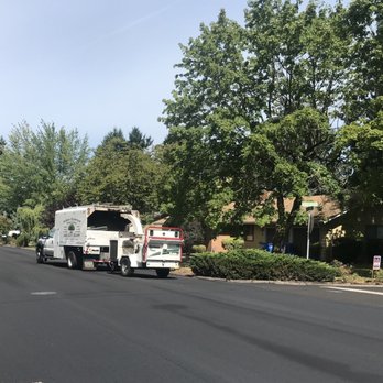 Arbor Science tree Service - Tree Services Near Me
