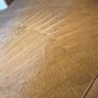 Photo of Xtreme Clean