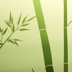 Tracy Rudnicki L. Ac., MS MA. - Alpine Acupuncture