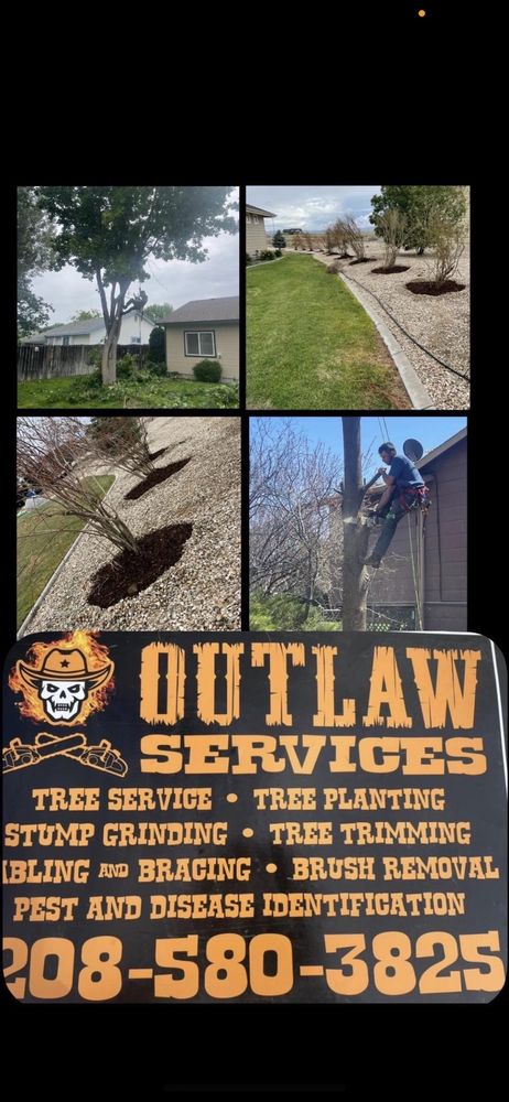 Outlaw Tree Services - tree service in Boise, ID