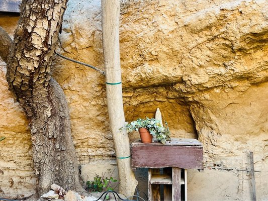 Forestiere Underground Gardens by null