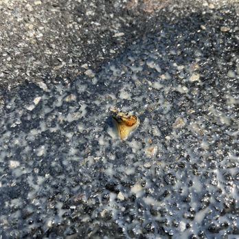 Dunkin' -  a small piece of food on the ground - Coffee & Tea Near Me - Pennington, New Jersey