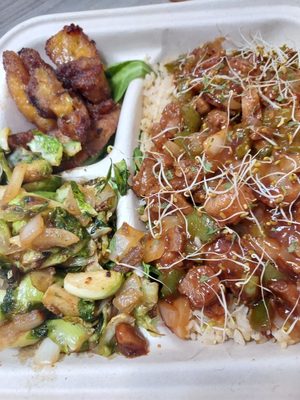 The Reizod Vegan Experience by null
