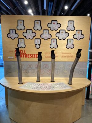 Museum of Food and Drink (MOFAD) by null