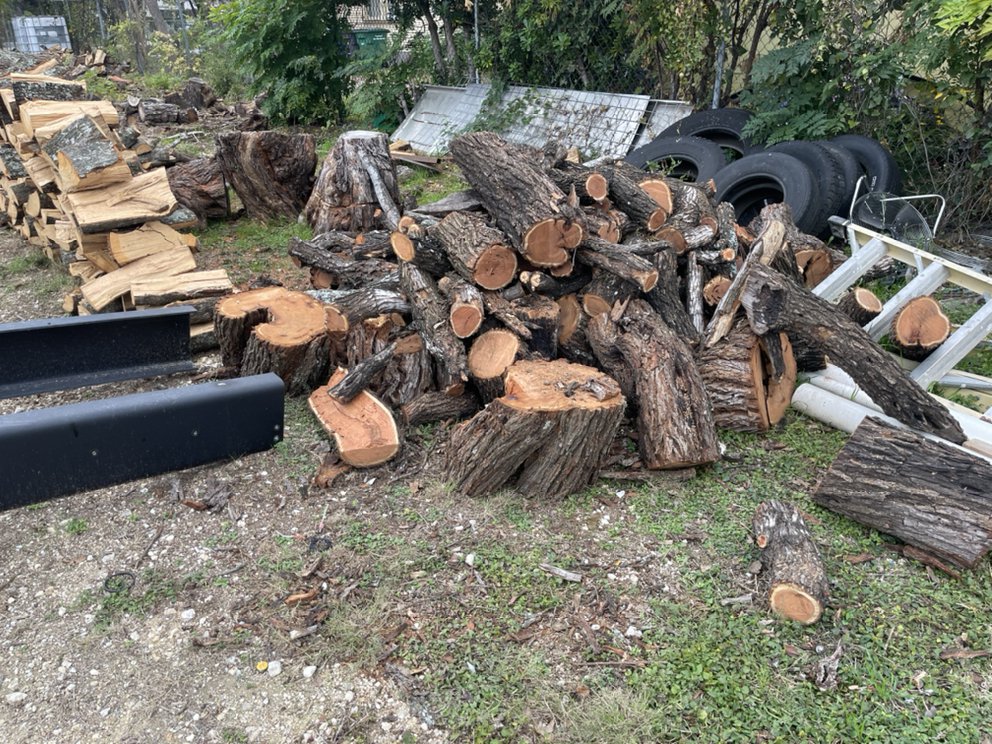 Torres Tree Service - tree service in San Antonio, TX