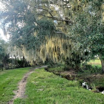 Walton Ranch Preserve - Oak - Parks Near Me - North Port, Florida