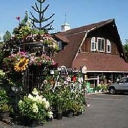 Tony Di Stefano Landscaping - If you drive around the North Shore and oggle at the beautiful homes, chances are Distefano's Landscaping Services is credite...
