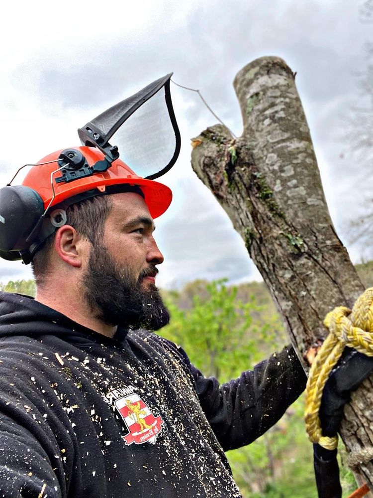 Lawncare by Brandon Landscape & Tree Service - tree service in Huntington, WV