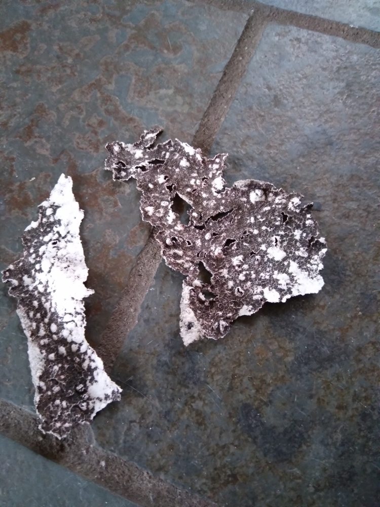 Slide of ARC Allegiance Roof Care