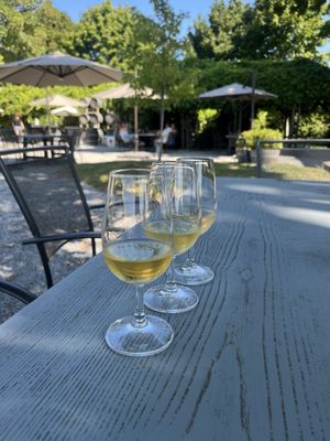 Lenz Winery by null