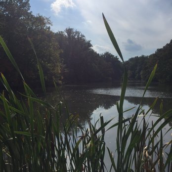 Schuylkill Center For Environmental Education - Pond - Preschools Near Me - Philadelphia, Pennsylvania Schuylkill Center For Environmental Education - Pond - Preschools Near Me - Philadelphia, Pennsylvania