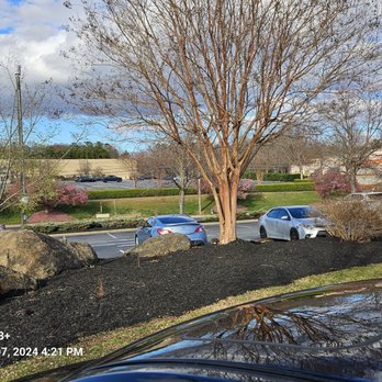Panera Bread - Nice landscaping on busy Haynes Mall boulevard. Ahhh!! - Sandwiches Near Me - Winston-salem, North Carolina Panera Bread - Nice landscaping on busy Haynes Mall boulevard. Ahhh!! - Sandwiches Near Me - Winston-salem, North Carolina