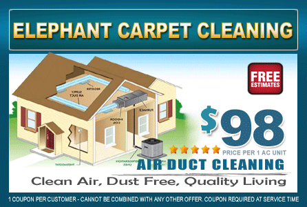 Elephant Carpet Cleaning