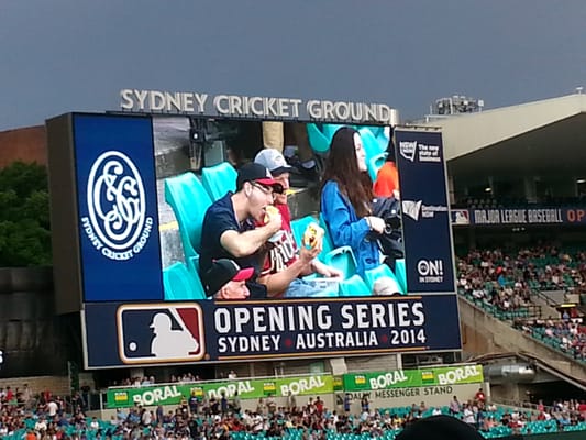 Sydney Cricket Ground by null