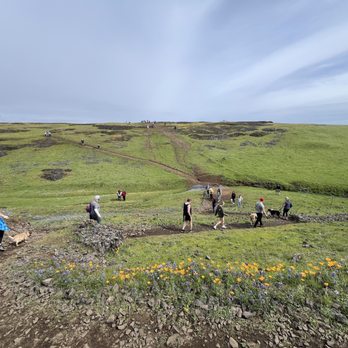 North Table Mountain - Along the way - Hiking Near Me - Oroville, California
