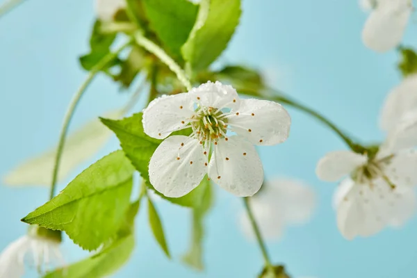 Mary Kay Counseling Services - grief counselor in Cincinnati, OH