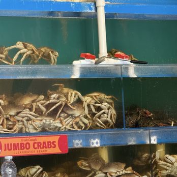 I'm A Little Hot Crab - Seafood Near Me - Toronto, Ontario I'm A Little Hot Crab - Seafood Near Me - Toronto, Ontario