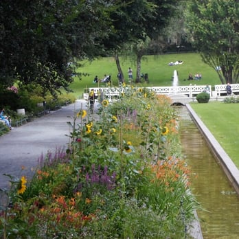 Körnerpark - Ein Meer aus Sonnenblumen - Parks Near Me - Berlin, BE