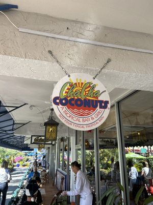 Cha Cha Coconuts by null