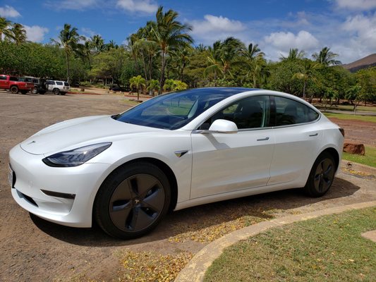 Lanai Car Rental by null