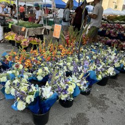 Mill City Farmers Market - Flowers