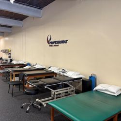 Professional Physical Therapy