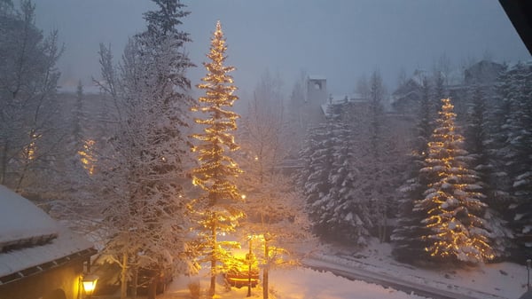 The Pines Lodge by null