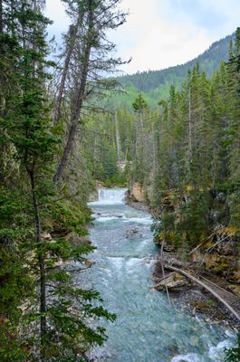 Johnston Canyon by null