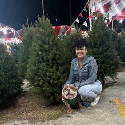 Perfect tree, 8yrs and counting.