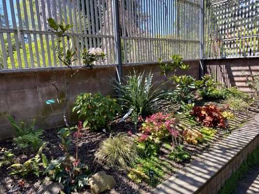 The Gardens at Lake Merritt by null