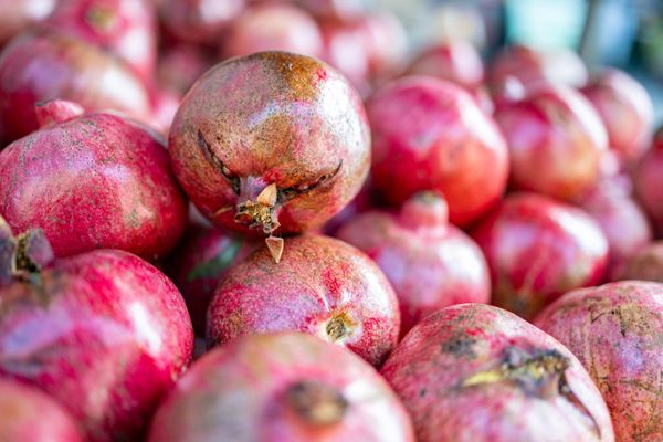 Ferry Plaza Farmers Market by null Ferry Plaza Farmers Market by null