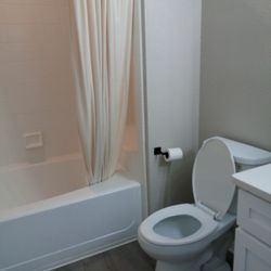 White Fir Cleaning