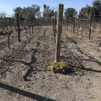 Bodegas Aguirre - Can't wait to see the grapes on the vines this year - Wineries Near Me - Livermore, California Bodegas Aguirre - Can't wait to see the grapes on the vines this year - Wineries Near Me - Livermore, California