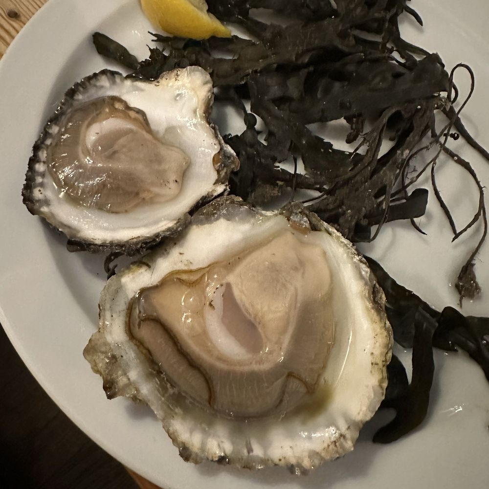Morans Oyster Cottage - More raw oysters! - Seafood Near Me - Galway, G Morans Oyster Cottage - More raw oysters! - Seafood Near Me - Galway, G