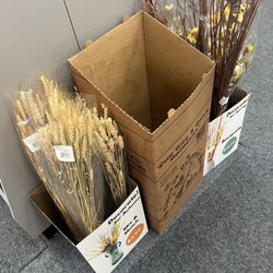 CVS Pharmacy