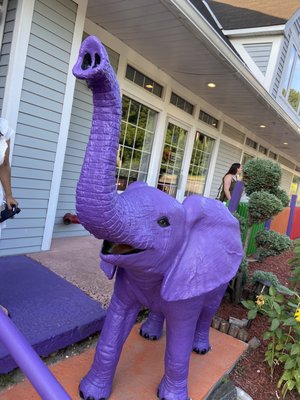 The Purple Elephant by null