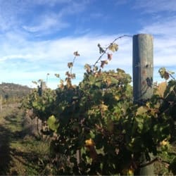 Skillogalee Wines