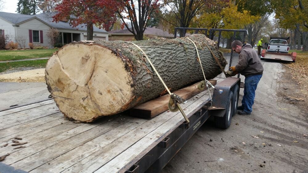 CANOPY TREE CARE Updated April 2024 245 W Roosevelt Rd, West