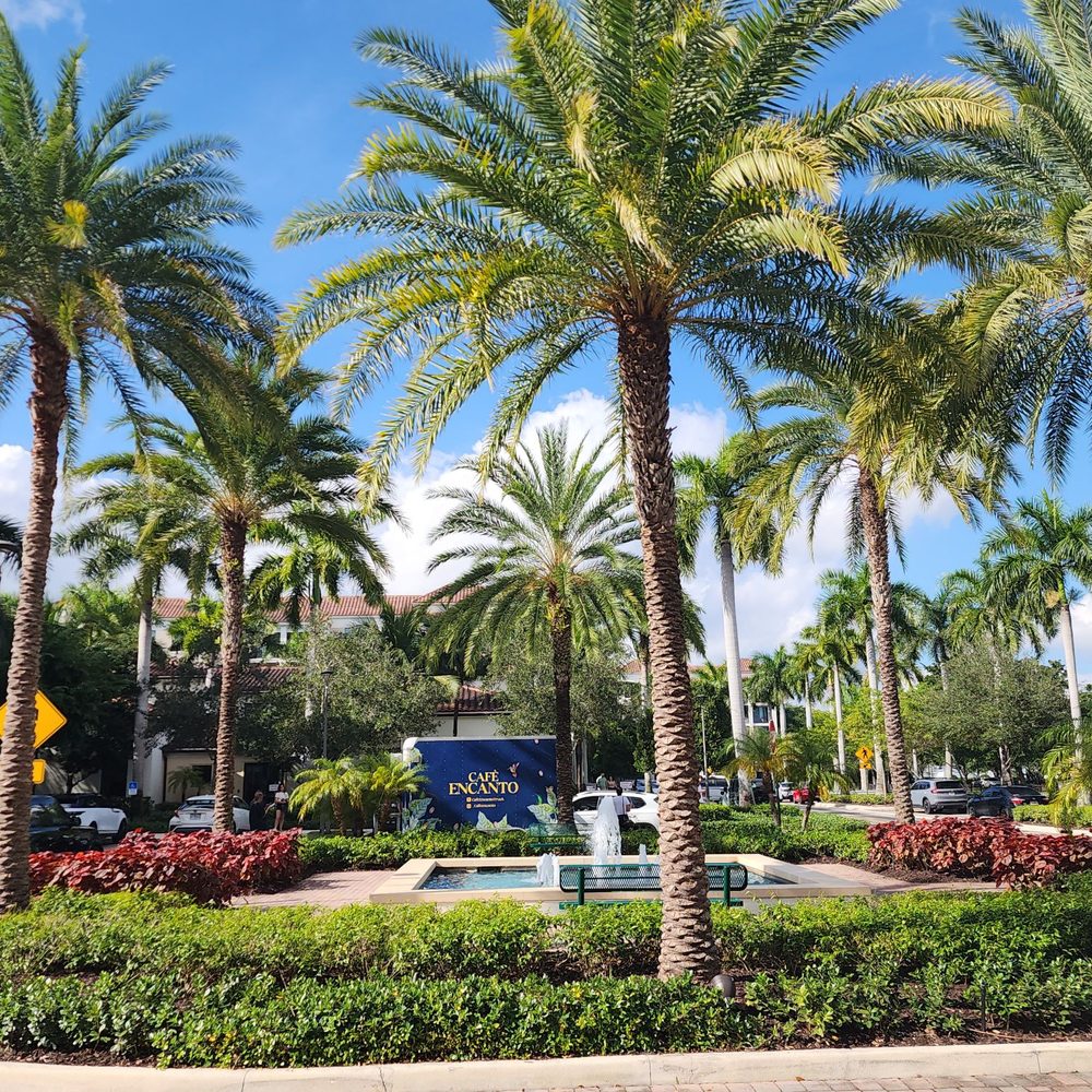 Cafe Encanto - Food Trucks Near Me - Boca Raton, Florida Cafe Encanto - Food Trucks Near Me - Boca Raton, Florida