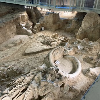 Waco Mammoth National Monument - Museums Near Me - Waco, Texas