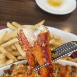 Hungry Traveler - Lobster from Lobster Pie