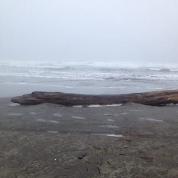 Westhaven State Park - Parks Near Me - Westport, Washington Westhaven State Park - Parks Near Me - Westport, Washington